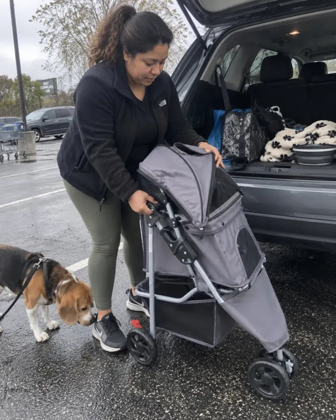 Pet using a DOGCRUISER stroller