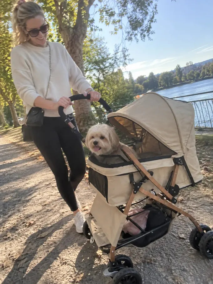Pet using a DOGCRUISER stroller