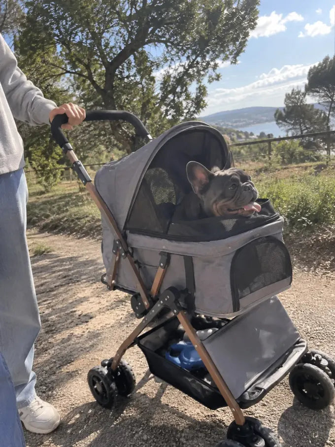 Pet using a DOGCRUISER stroller