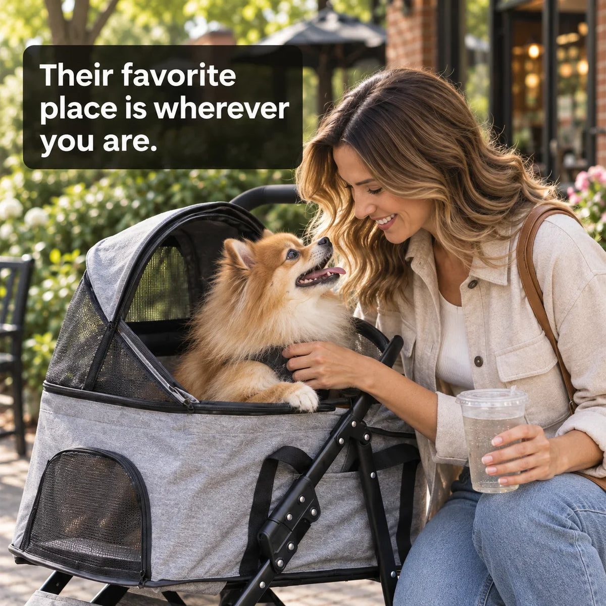 DOGCRUISER Carrier 3-in-1 Pet Stroller