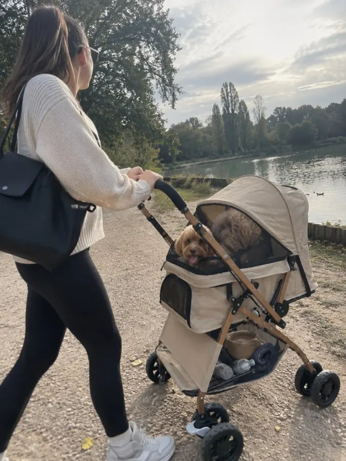 Pet using a DOGCRUISER stroller
