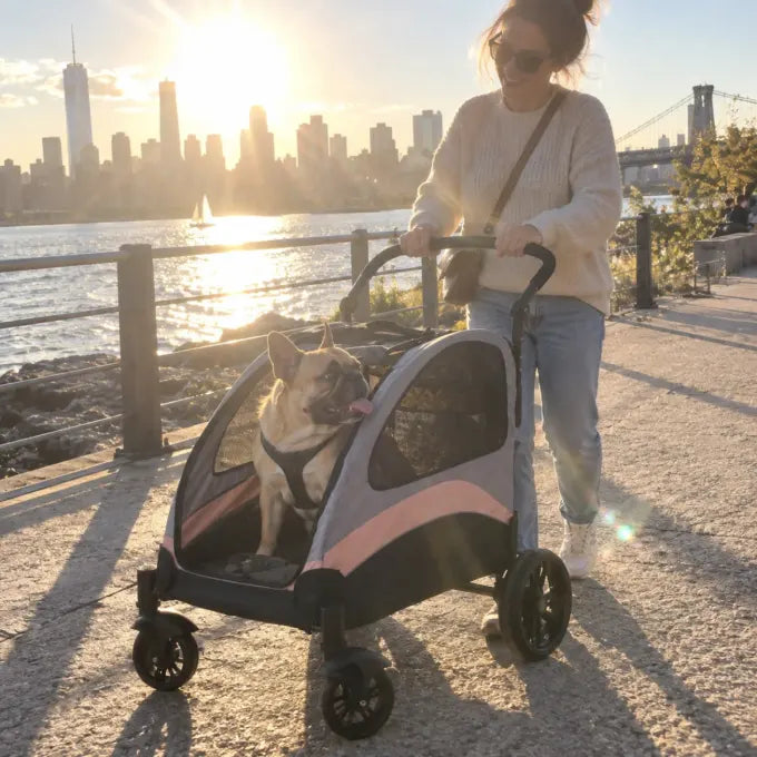 Pet using a DOGCRUISER stroller