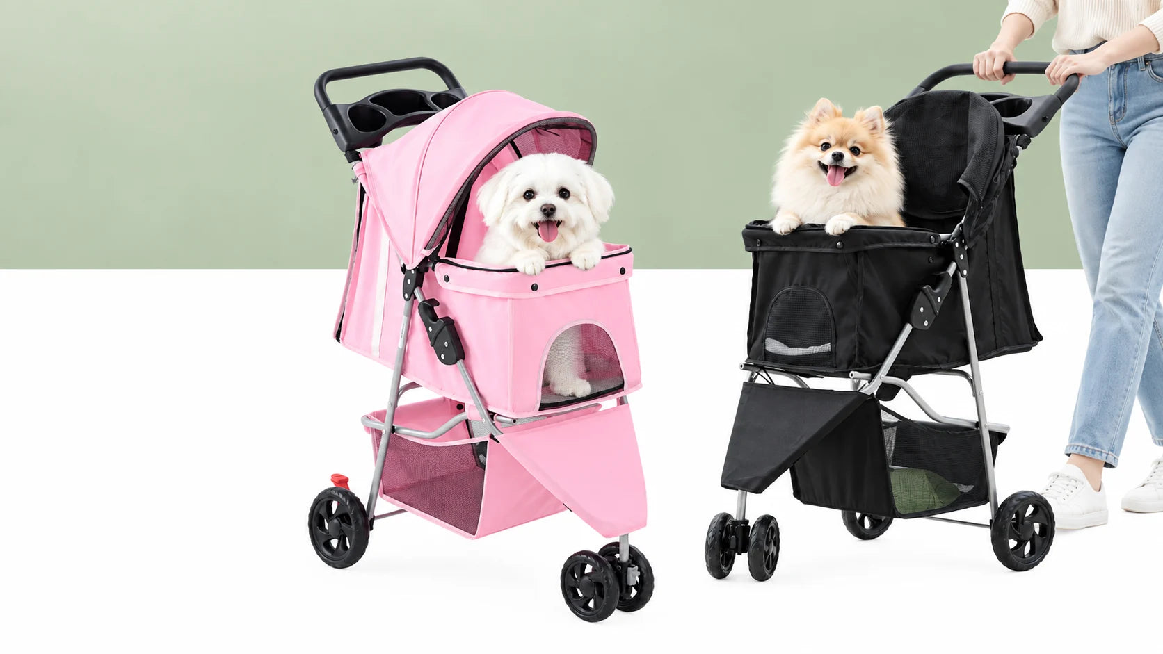 Pet strollers with dogs on an everyday outing